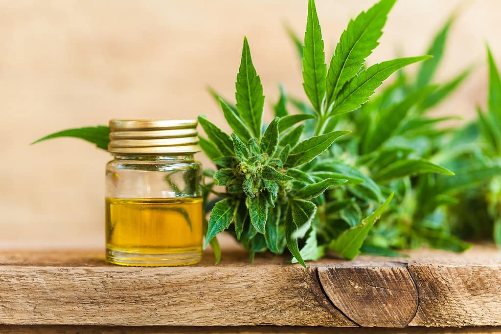 cbd for muscle pain 3