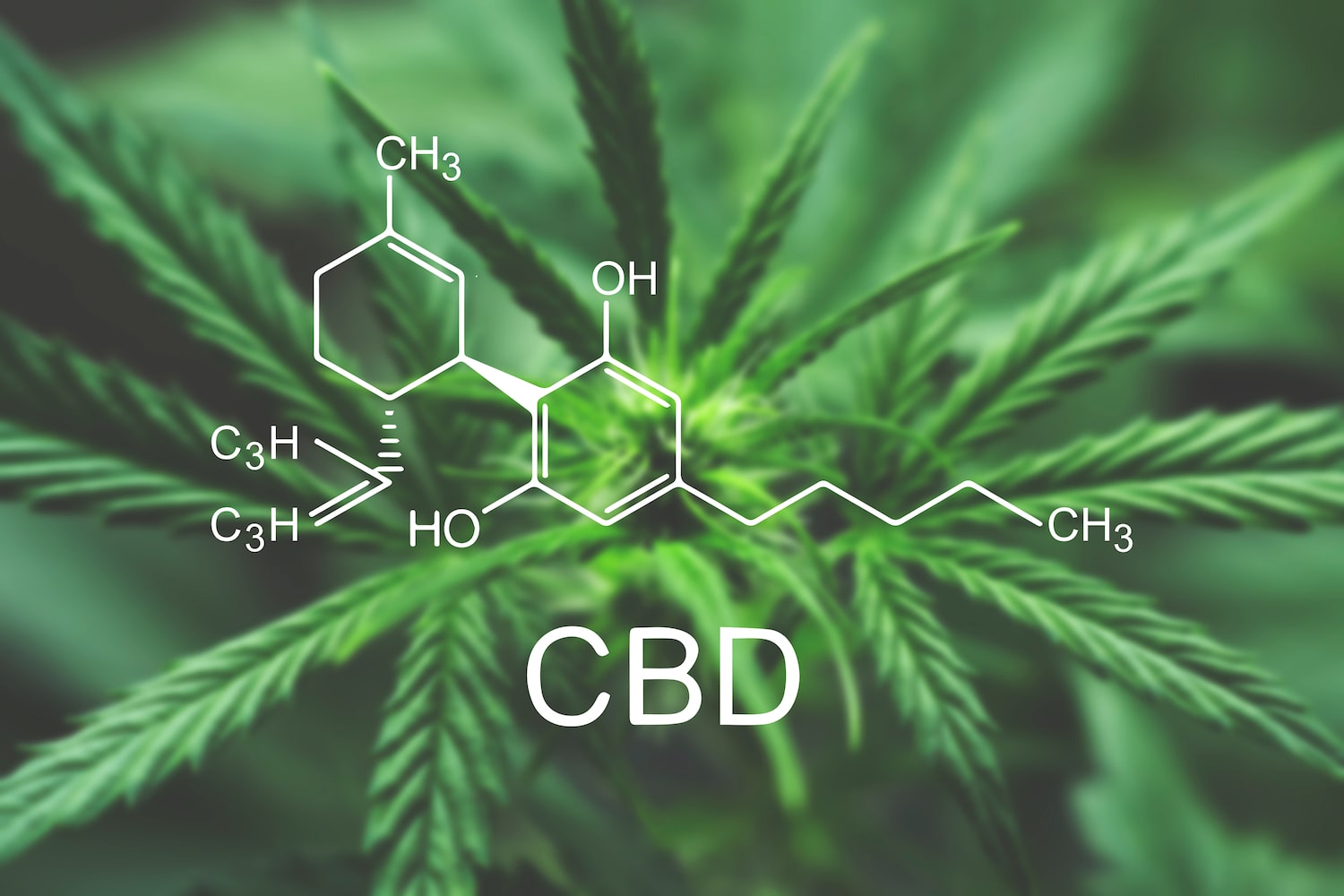cbd for muscle pain 1